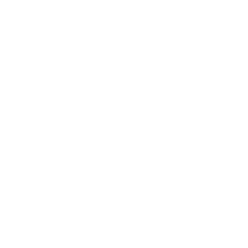 Ícone 1